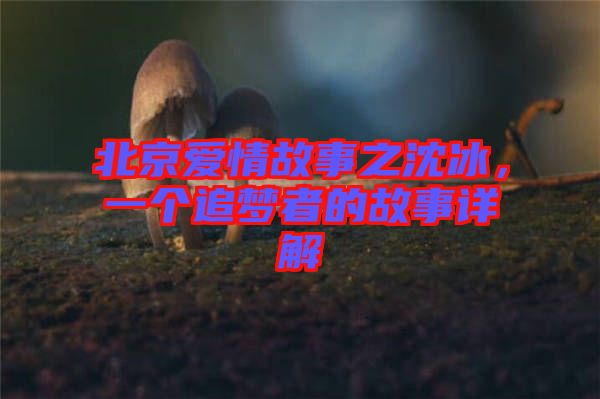 北京愛(ài)情故事之沈冰，一個(gè)追夢(mèng)者的故事詳解
