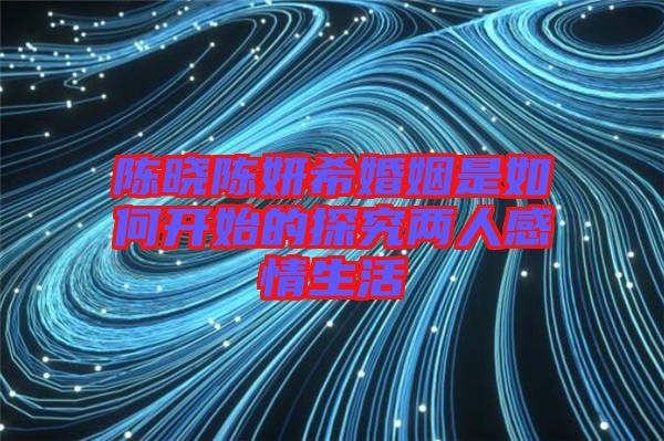 陳曉陳妍?；橐鍪侨绾伍_始的探究?jī)扇烁星樯? width=