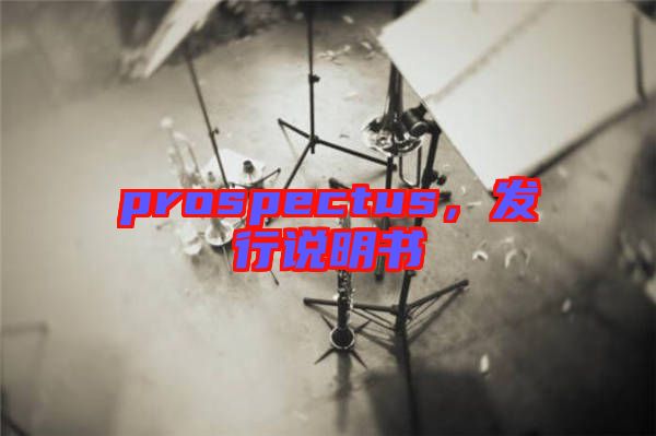 prospectus，發(fā)行說明書