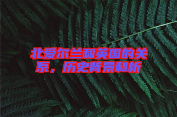 北愛爾蘭和英國的關(guān)系，歷史背景和析