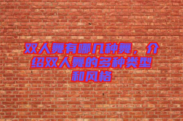 雙人舞有哪幾種舞，介紹雙人舞的多種類型和風格