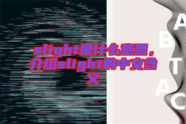 slight是什么意思，介紹slight的中文含義