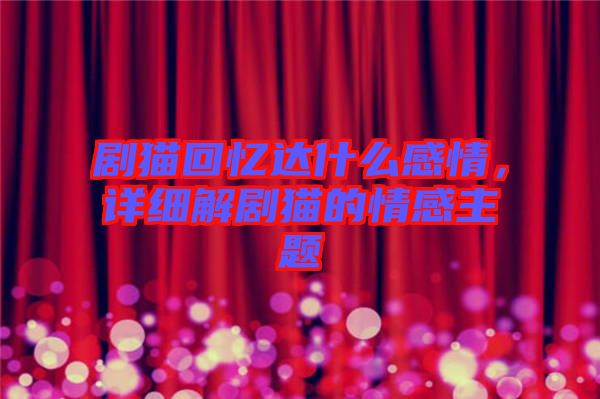 劇貓回憶達什么感情，詳細解劇貓的情感主題