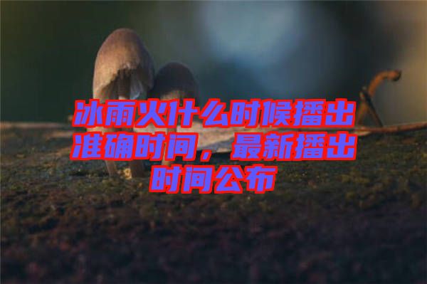 冰雨火什么時(shí)候播出準(zhǔn)確時(shí)間，最新播出時(shí)間公布