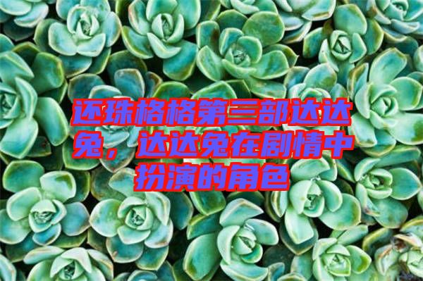 還珠格格第三部達(dá)達(dá)兔，達(dá)達(dá)兔在劇情中扮演的角色