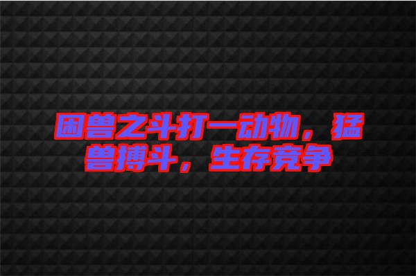 困獸之斗打一動(dòng)物，猛獸搏斗，生存競(jìng)爭(zhēng)