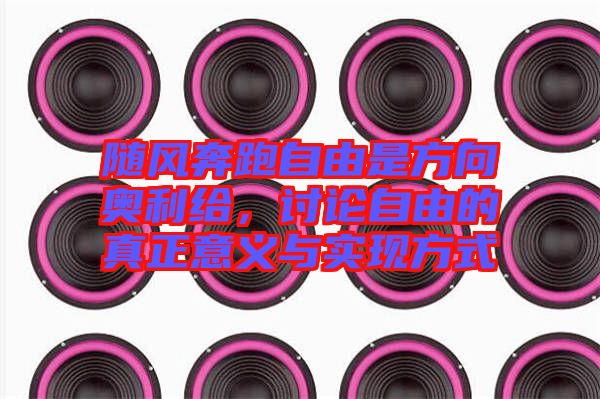 隨風(fēng)奔跑自由是方向奧利給，討論自由的真正意義與實(shí)現(xiàn)方式