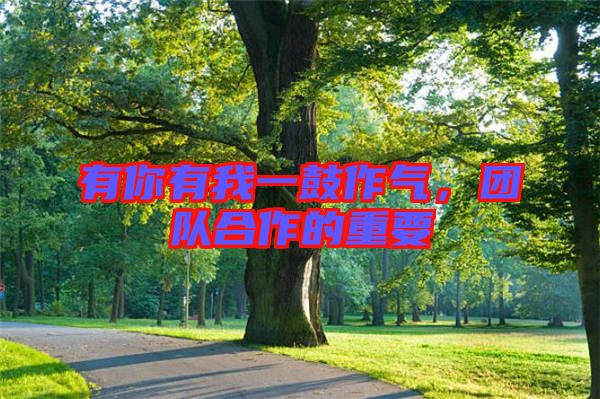 有你有我一鼓作氣，團(tuán)隊合作的重要