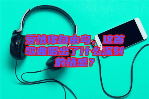 愛情像自由鳥，這首歌曲唱出了什么深刻的情感？