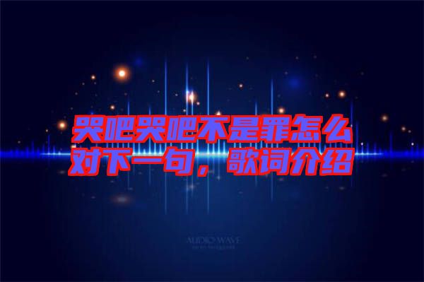 哭吧哭吧不是罪怎么對下一句，歌詞介紹