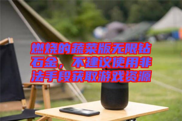 燃燒的蔬菜版無(wú)限鉆石金，不建議使用非法手段獲取游戲資源