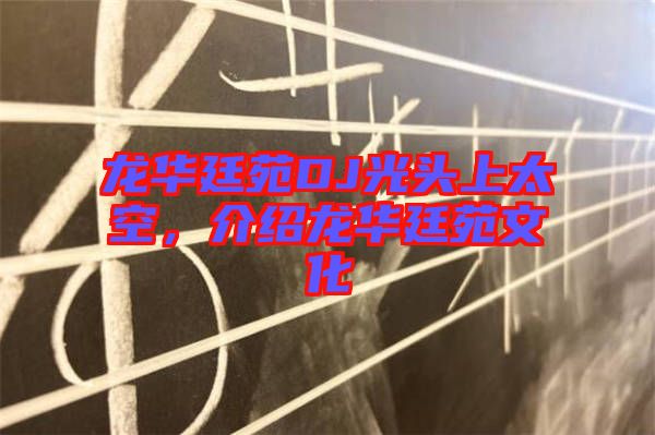 龍華廷苑DJ光頭上太空，介紹龍華廷苑文化