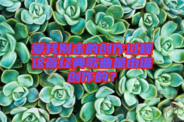 愛我別走的創(chuàng)作過程這首經(jīng)典歌曲是由誰創(chuàng)作的？