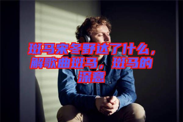 斑馬宋冬野達(dá)了什么，解歌曲斑馬，斑馬的深意