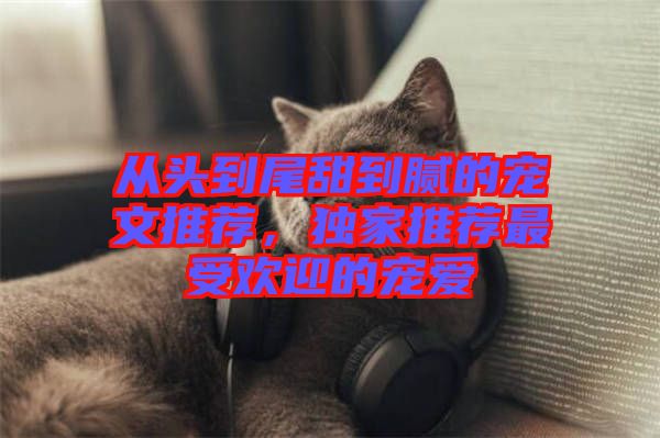 從頭到尾甜到膩的寵文推薦，獨(dú)家推薦最受歡迎的寵愛(ài)