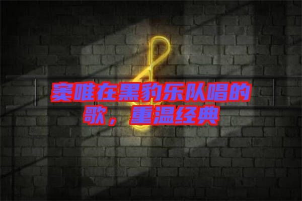 竇唯在黑豹樂隊(duì)唱的歌，重溫經(jīng)典