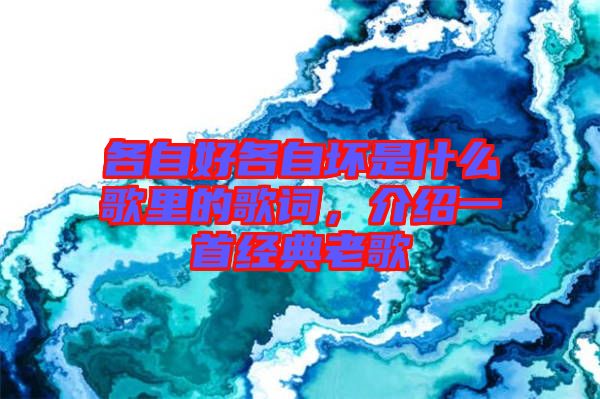 各自好各自壞是什么歌里的歌詞，介紹一首經(jīng)典老歌