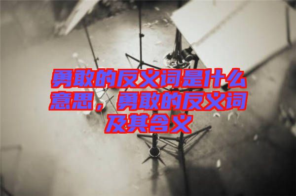 勇敢的反義詞是什么意思，勇敢的反義詞及其含義