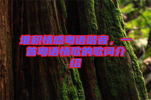 堆積情感粵語(yǔ)諧音，一首粵語(yǔ)情歌的歌詞介紹