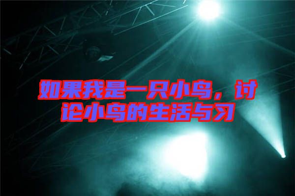 如果我是一只小鳥，討論小鳥的生活與習(xí)