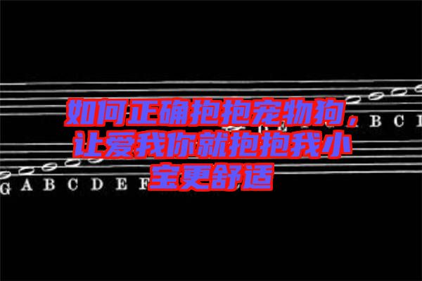 如何正確抱抱寵物狗，讓愛我你就抱抱我小寶更舒適