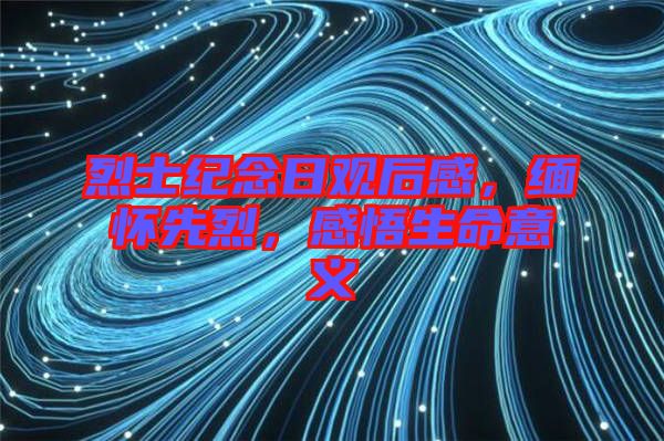 烈士紀(jì)念日觀后感，緬懷先烈，感悟生命意義