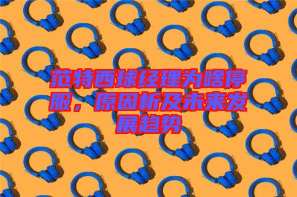 范特西球經(jīng)理為啥停服，原因析及未來(lái)發(fā)展趨勢(shì)