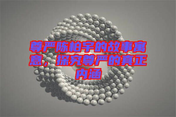 尊嚴(yán)陳柏宇的故事寓意，探究尊嚴(yán)的真正內(nèi)涵