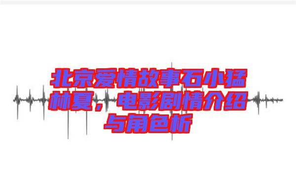 北京愛情故事石小猛林夏，電影劇情介紹與角色析