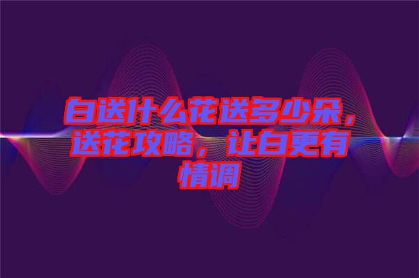 白送什么花送多少朵，送花攻略，讓白更有情調(diào)