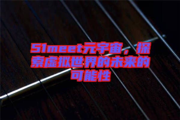 51meet元宇宙，探索虛擬世界的未來的可能性