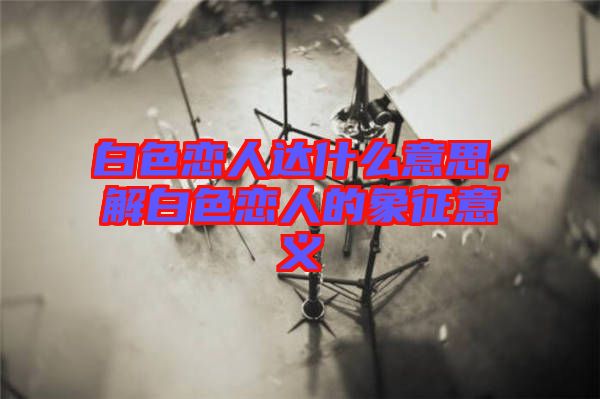 白色戀人達(dá)什么意思，解白色戀人的象征意義