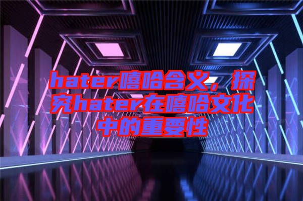 hater嘻哈含義，探究hater在嘻哈文化中的重要性