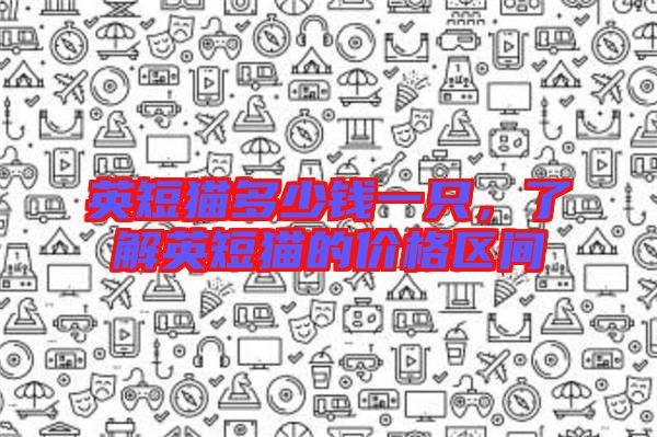 英短貓多少錢一只，了解英短貓的價(jià)格區(qū)間