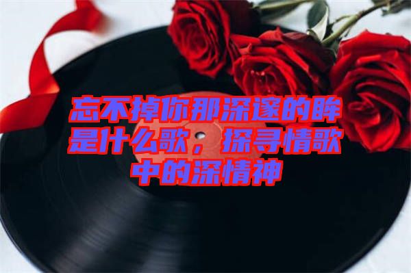忘不掉你那深邃的眸是什么歌，探尋情歌中的深情神