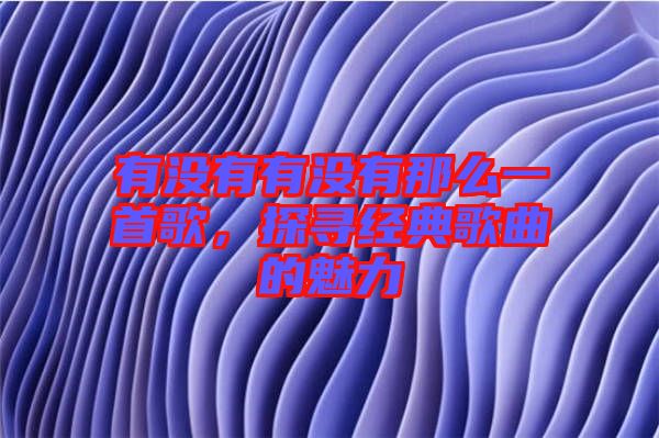 有沒有有沒有那么一首歌，探尋經(jīng)典歌曲的魅力