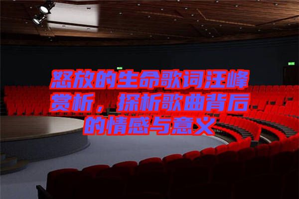 怒放的生命歌詞汪峰賞析，探析歌曲背后的情感與意義