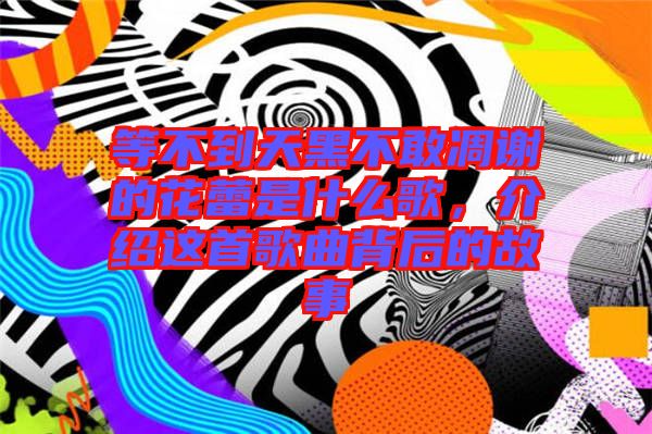 等不到天黑不敢凋謝的花蕾是什么歌，介紹這首歌曲背后的故事
