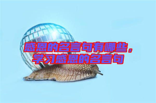 感恩的名言句有哪些，學(xué)習(xí)感恩的名言句