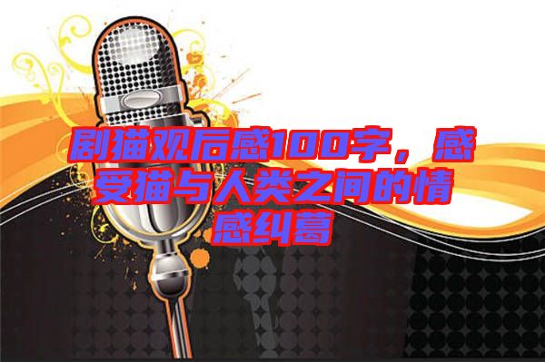 劇貓觀后感100字，感受貓與人類之間的情感糾葛