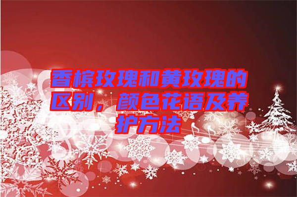 香檳玫瑰和黃玫瑰的區(qū)別，顏色花語及養(yǎng)護(hù)方法