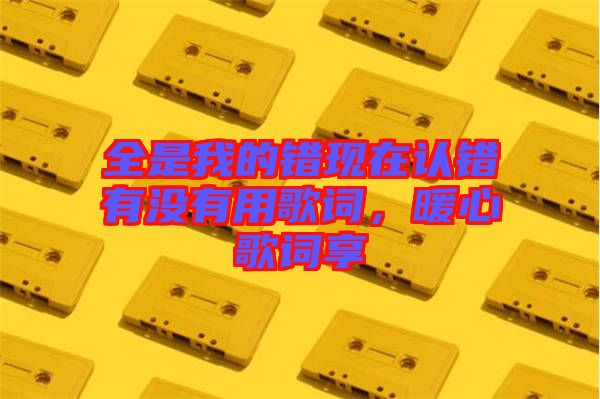 全是我的錯(cuò)現(xiàn)在認(rèn)錯(cuò)有沒有用歌詞，暖心歌詞享