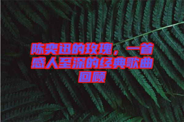 陳奕迅的玫瑰，一首感人至深的經(jīng)典歌曲回顧