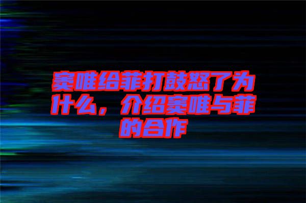 竇唯給菲打鼓怒了為什么，介紹竇唯與菲的合作