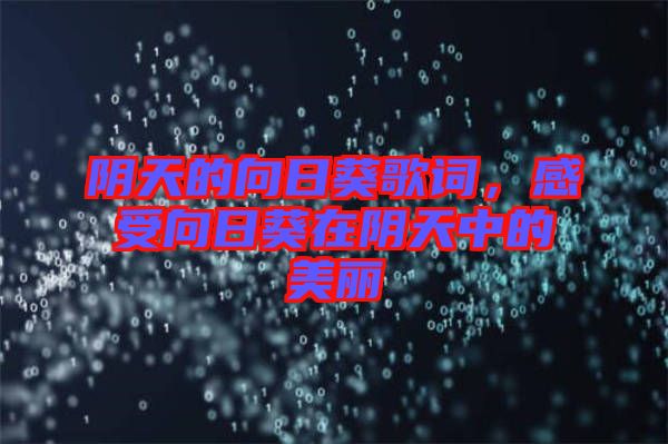 陰天的向日葵歌詞，感受向日葵在陰天中的美麗