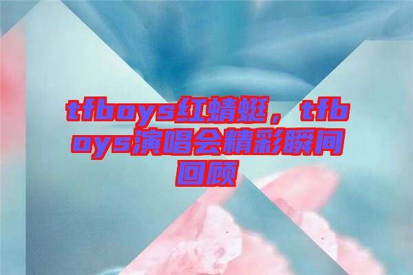 tfboys紅蜻蜓，tfboys演唱會(huì)精彩瞬間回顧