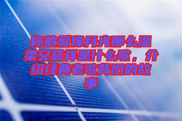 你的愛像月光那么溫柔又慈祥是什么歌，介紹經(jīng)典老歌背后的故事