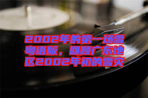 2002年的第一場雪粵語版，回顧廣東地區(qū)2002年初的雪災(zāi)