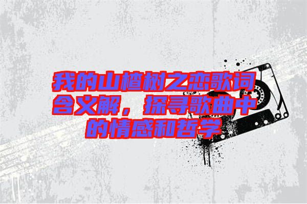 我的山楂樹之戀歌詞含義解，探尋歌曲中的情感和哲學(xué)