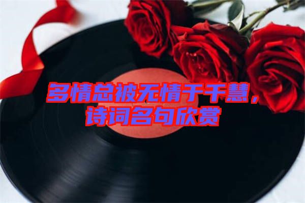 多情總被無情于千慧，詩詞名句欣賞